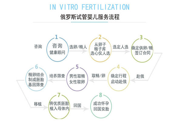 俄罗斯试管婴儿费用
