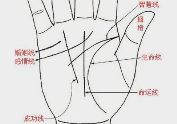 看手相判断怀孕是没有科学依据的