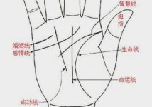 还不会手相看怀孕就out了，看完才知妊娠年龄、次数准不准