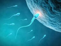 国内三代供精试管的费用明细来了，精子库精子几千就搞定