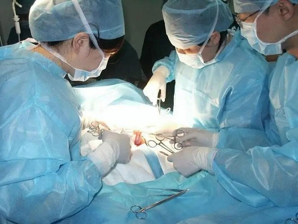 人工授精