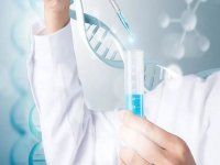 澳门三代试管婴儿自助攻略分享：成功率和费用一清二楚