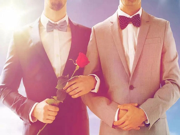 同性婚姻其实就是指同性之间的婚姻关系