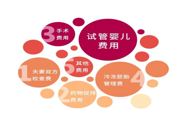 试管费用分析