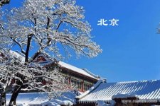 2022在北京做三代试管婴儿费用大约多少钱？可以报销吗？