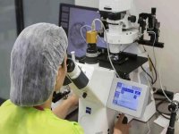 胚胎移植是试管婴儿中非常关键过来人移植一个冻胚的成功经验分享