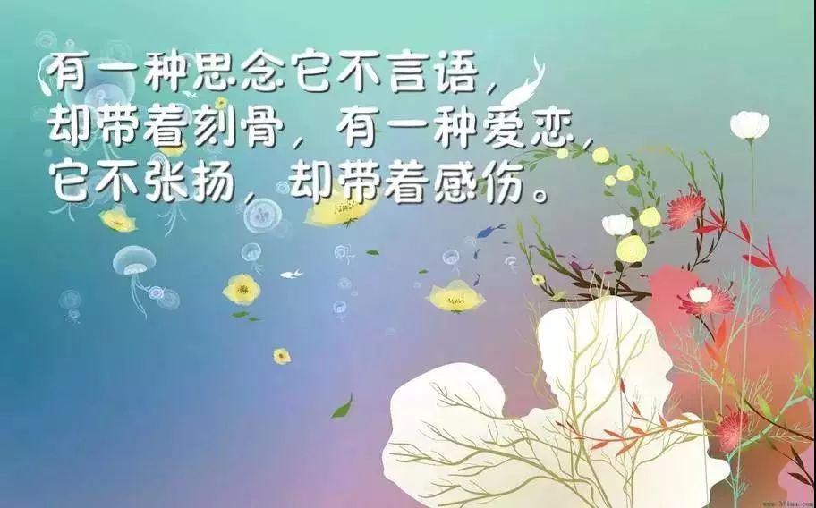 经典说说 因为心无所恃，所以随遇而安