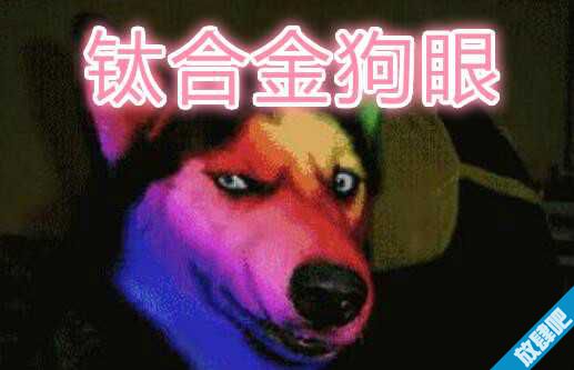 钛合金狗眼什么意思？钛合金狗眼的来源？