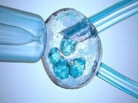 试管婴儿做一次不成功再做怎么收费?第二次还要再交钱吗