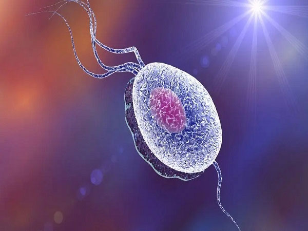 DNA碎片率高说明精子活力低质量差