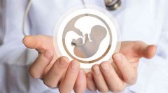 带你解读泰国试管婴儿技术怎么样，附试管成功率