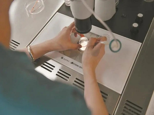 不同的患者试管二胎所需的时间是不同的