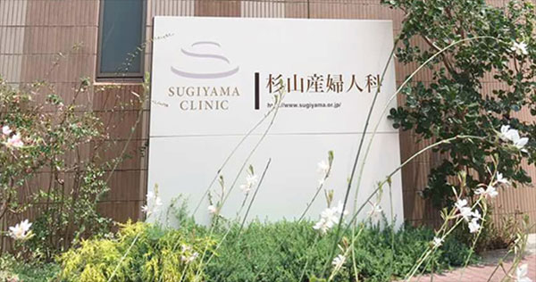二代试管成功率在45%-60%左右