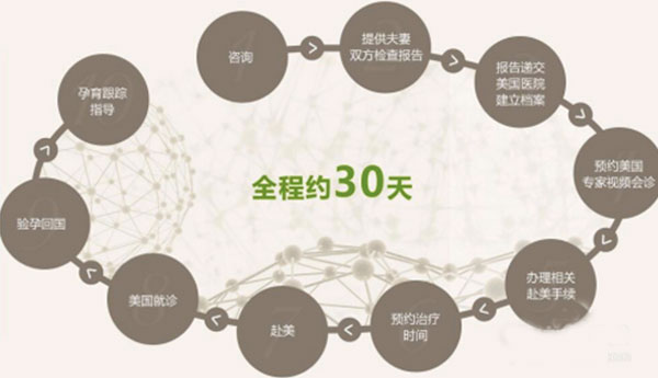 美国试管婴儿流程图解