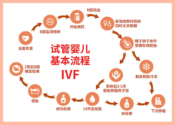 美国做试管婴儿整个流程