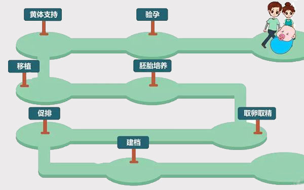 泰国做试管婴儿的流程