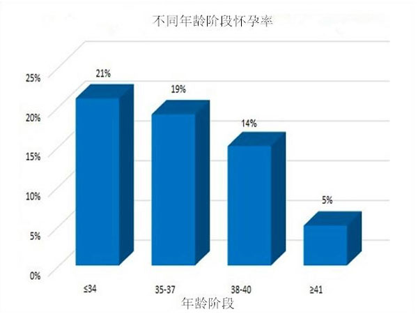 不同年龄阶段的怀孕率