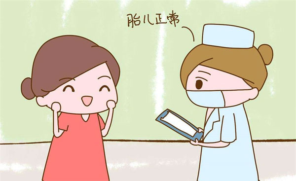 孕囊