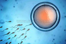 陕西试管婴儿是否纳入医保？2022试管助孕费用明细指南