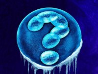 试管囊胚和冻胚价格是多少?两个的费用一样吗？