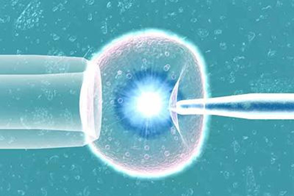 10个人做试管婴儿几个能成功