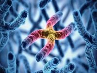 染色体异常做三代试管成功率怎么样?一文让你秒懂