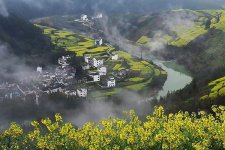 安徽供卵不排队医院名单，附供卵试管费用明细已公布