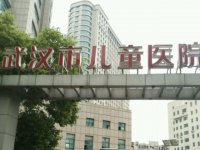 2023武汉哪家供卵试管婴儿医院最好？供卵试管需要等多久